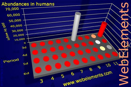 image showing Abundances in humans: d-block periodic periodicity for the d-block chemical elements