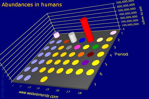 image showing Abundances in humans: s- and p-block periodic periodicity for the s and p block chemical elements