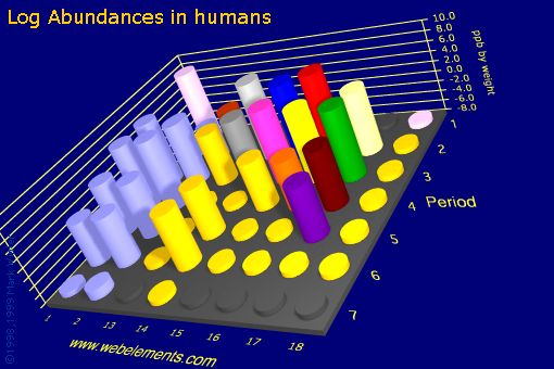 image showing Abundances in humans: s- and p-block logs periodic periodicity for the s and p block chemical elements