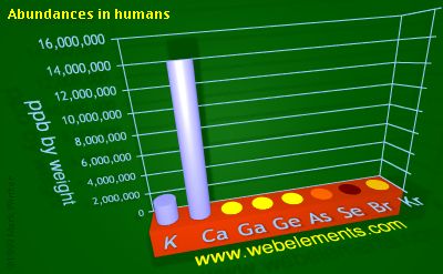 image showing Abundances in humans: period 4sp periodic periodicity for 4s and 4p chemical elements