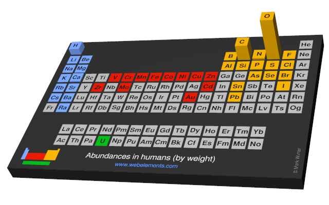 Image showing periodicity of the chemical elements for abundances in humans (by weight) in a periodic table cityscape style.