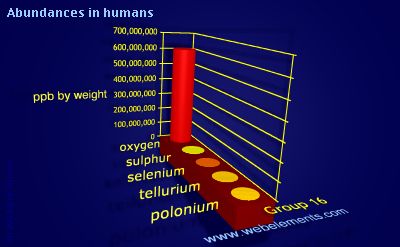 Image showing periodicity of abundances in humans (by weight) for group 16 chemical elements.