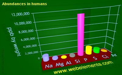 Image showing periodicity of abundances in humans (by weight) for 3s and 3p chemical elements.