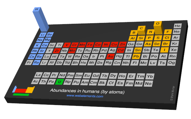 Image showing periodicity of the chemical elements for abundances in humans (by atoms) in a periodic table cityscape style.
