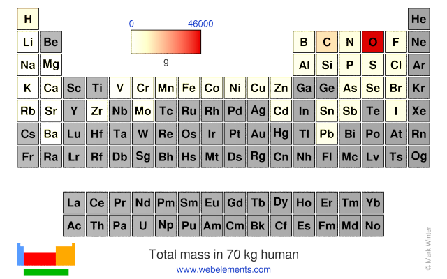 Image showing periodicity of the chemical elements for total mass in 70 kg human in a periodic table heatscape style.